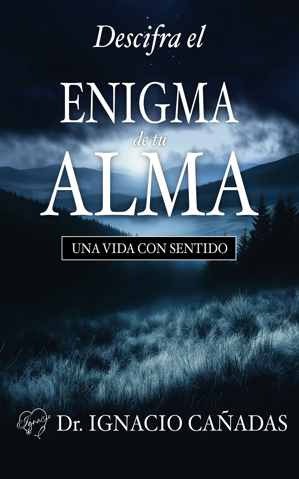 Libro Enigma de tu alma